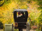 軽井沢観光人力車てやんでぃ屋の写真2