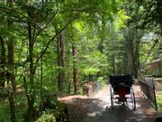 軽井沢観光人力車てやんでぃ屋の写真4