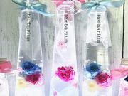 Tiara&Cocoの写真2