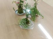 Fleur branchの写真3