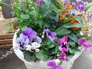 Fleur branchの写真4