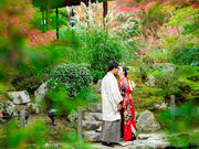 京都着物レンタル 京之夢の写真2