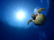 Deeva OCEANFIELD 那覇 の写真2