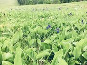 釧路サイクリングツアーズの写真2