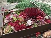 アルファフローリスト vivacity店の写真3