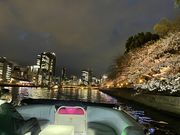 インディクルーズ 八軒家浜船着場の写真4