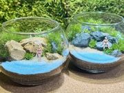 苔むすびの写真2