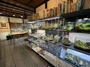 苔むすびの写真4