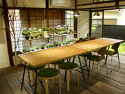 苔むすびの写真3