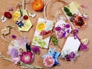 和ノ花〜nanoka〜の写真2