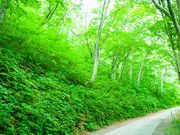 みなかみ山岳ガイド協会の写真2