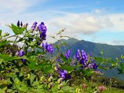 みなかみ山岳ガイド協会の写真3