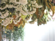 Florilegeの写真2
