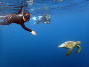 西表 遊びなーらの写真3