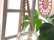 アトリエ亀楽Kirakuの写真2