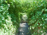 伊藤農園 asobibatakeの写真2
