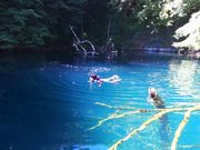 星野アウトドアセンター(青森)の写真2