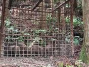 こしのくに里山再生の会の写真2
