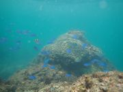 奈半利町海浜センターの写真4