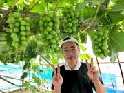 原田農園の写真2
