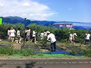 秦野いとう農園の写真3