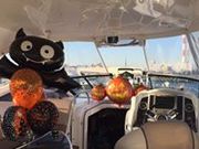 新豊洲クルージングクラブの写真2