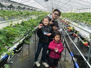 BerryParkいずみのの写真4