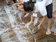 道の駅きつれがわ観光やな 鮎小屋の写真3