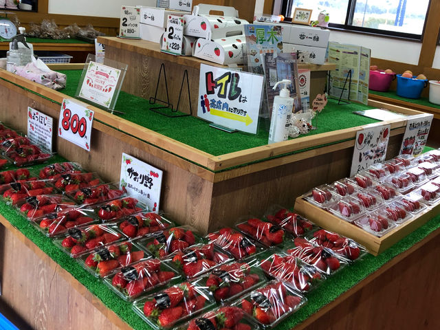 苺一縁売店_苺一縁