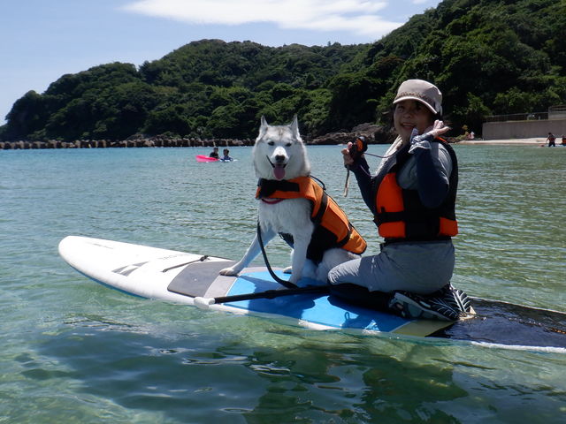 DogSupも・・・_松江サップ&カフェ