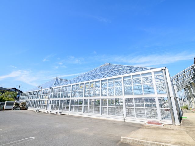 ほしいも乾燥施設
体験はこちらで行います。_ほしいも専門店 大丸屋