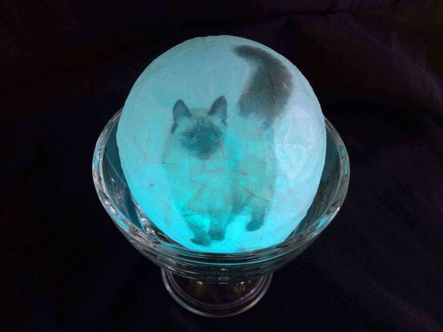 紙とロウの電飾(早池峰エッグ)を体験出来ます。_後藤商店
