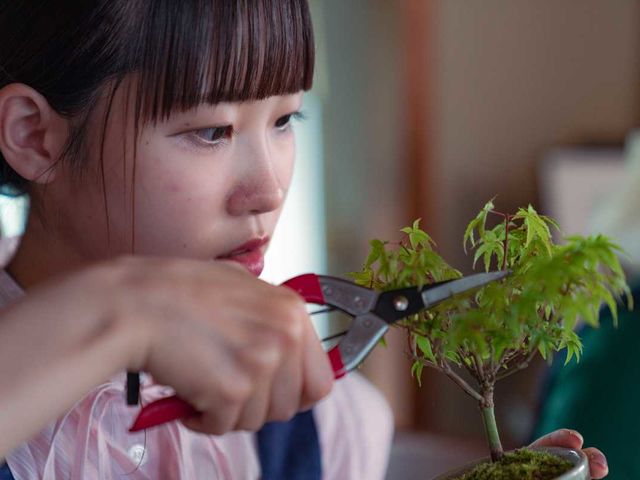 世界に一つだけの盆栽作品を創り、お気に入りの一品に仕上げます。日ごろの盆栽管理方法や愉しみ方も体得することができます。_丸園