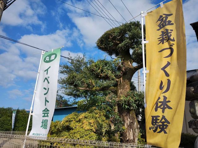 盆栽との日頃からの向き合い方や盆栽管理方法も含めて、体験の中で理解を頂く解説もさせて頂ています。_丸園