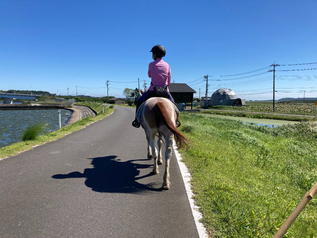 北浦周辺_PONY PLUS