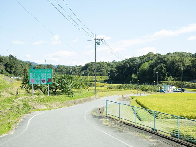 桃茂実苑観光農園