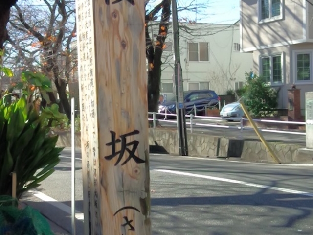 福山雅治さんの名曲”桜坂”は、聖地?だけでなく、四季を通して、桜の木を鑑賞できるスポットです。春だけでなく、秋も紅葉が見応えあります。(日曜午前ツアーにて)_株式会社ビュンビュンツアーズ