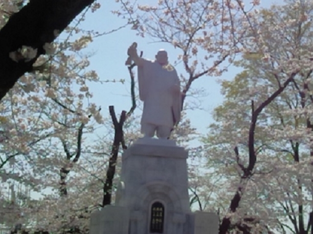 500本の桜の木が、春を彩る池上本門寺。(土曜午前ツアーにて)_株式会社ビュンビュンツアーズ