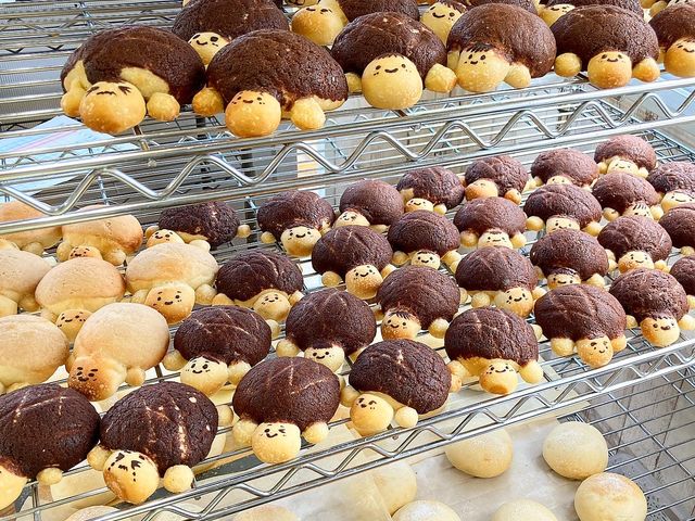 人気のカメメロンパン
かわいくて美味しくて体にいい_あきこきっちんパン屋さん