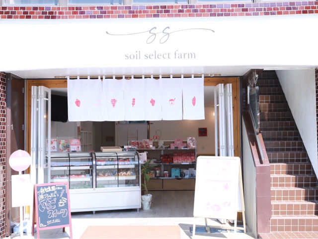 農園から徒歩6分ほどの柳川観光地にある直営店♪
いちご狩りの特典として30%OFFのお得な割引券をプレゼント♪_soil select farm