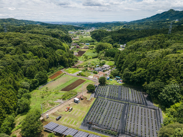 都内からも車60分ほどで行ける自然に囲まれた非日常空間_Blueberry HILLS あつぎ