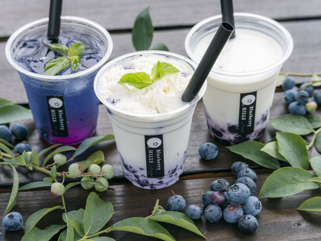 ブルーベリー狩りの後は、ひんやりとしたブルーベリースイーツドリンクをどうぞ_Blueberry HILLS あつぎ