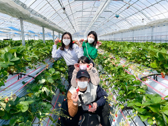 写真撮影もさせていただきます!気軽にお声がけください♪_ささやまベリー1