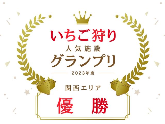章姫・紅ほっぺ・かおり野・恋みのりを栽培しております。_ささやまベリー1