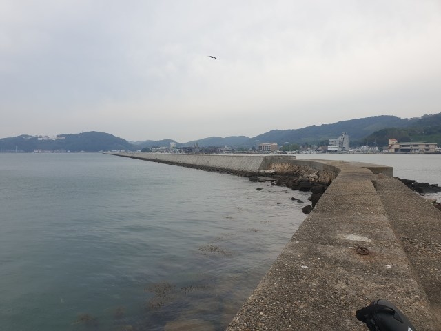 渡船 いわつばめ