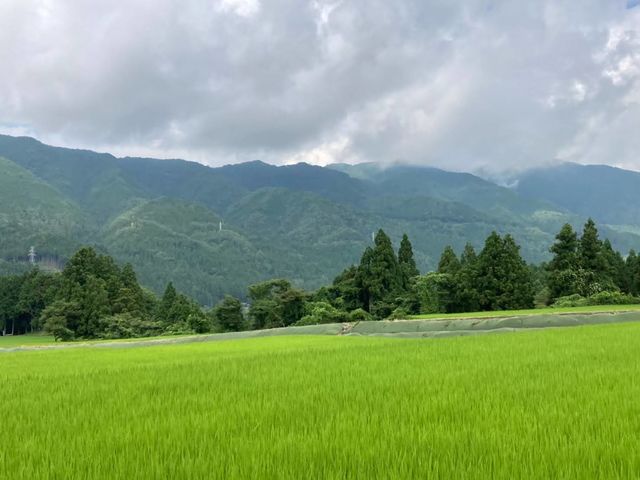 ゆきあき・ウォーキング