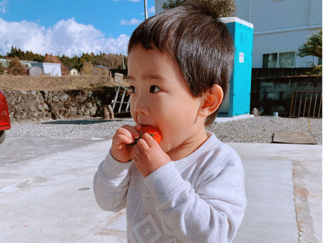 なべさんのいちごや