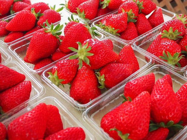 いちご縁中川