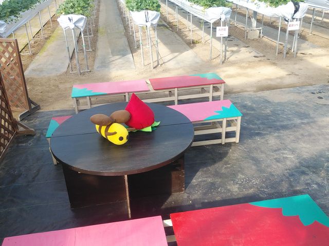いちご縁中川