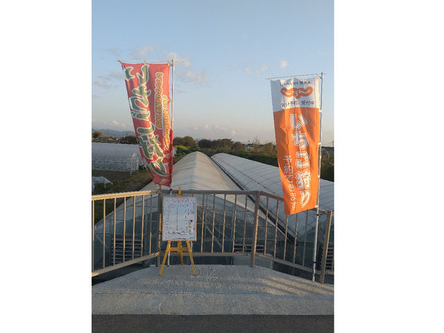 取田農園(2024年シーズン休業)